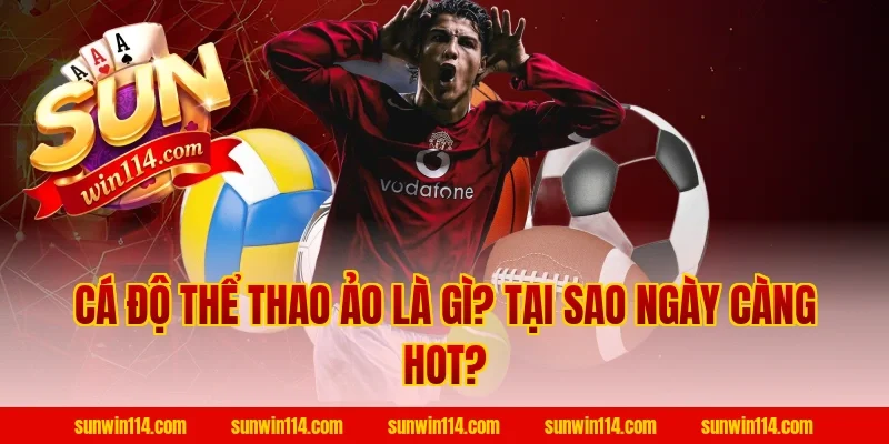 Cá Độ Thể Thao Ảo Là Gì? Tại Sao Ngày Càng Hot?