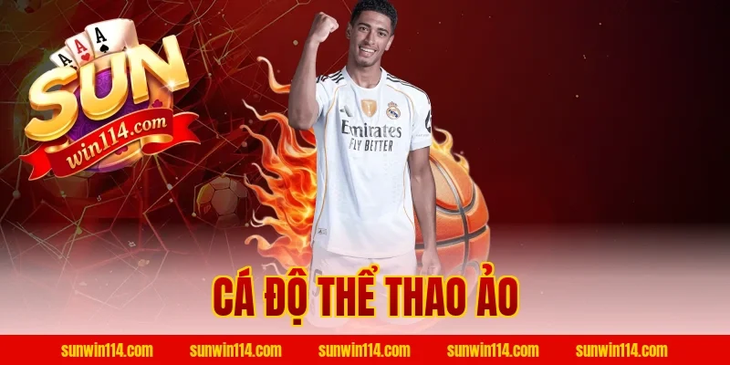 Cá Độ Thể Thao Ảo
