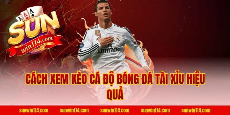 Cách Xem Kèo Cá Độ Bóng Đá Tài Xỉu hiệu quả