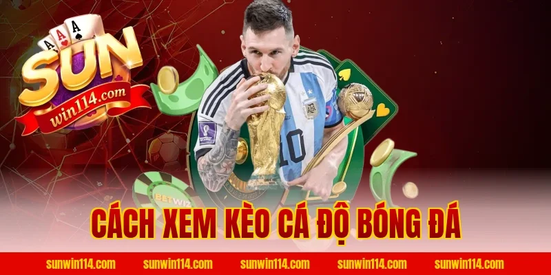 Cách Xem Kèo Cá Độ Bóng Đá