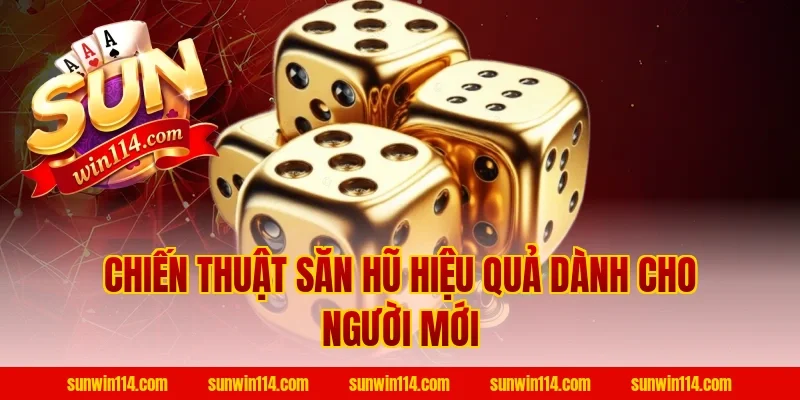 Chiến Thuật Săn Hũ Hiệu Quả Dành Cho Người Mới
