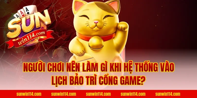 Người Chơi Nên Làm Gì Khi Hệ Thống Vào Lịch Bảo Trì Cổng Game?